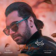 دانلود آهنگ جدید علیرضا بحرینی سوز پاییز